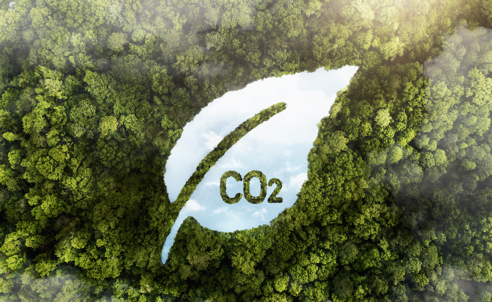 Co2 Emissions 